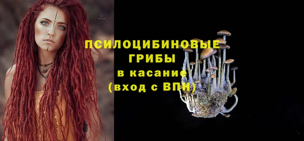 MDMA Богородицк
