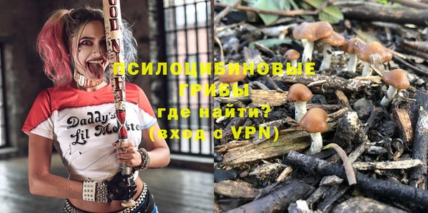 соль курить ск Богородск