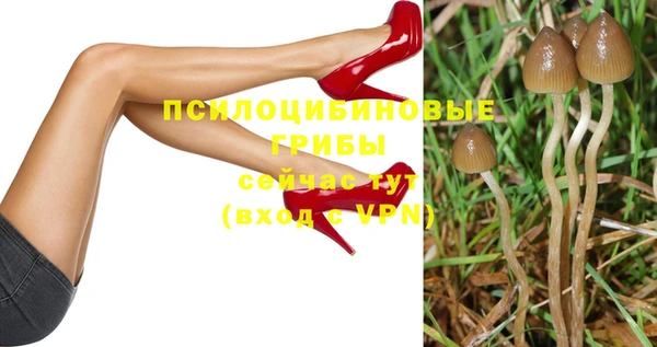 тгк Бугульма