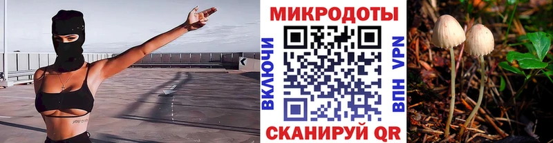 kraken ССЫЛКА  Касли  Галлюциногенные грибы GOLDEN TEACHER 